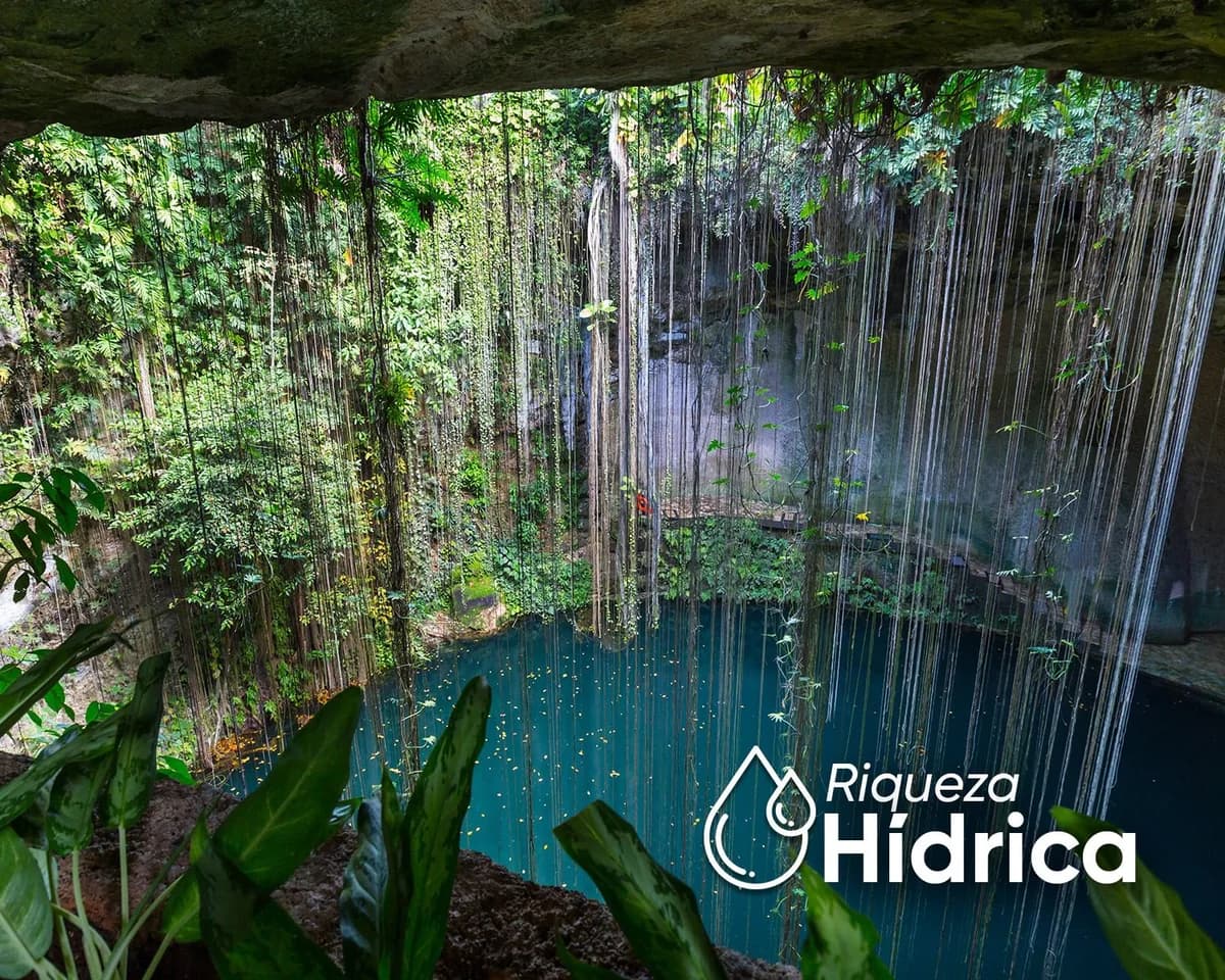 Cenote en la selva de Yucatán
